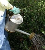 Protección Total Fungicidas y Abono Natural FERTIBONO